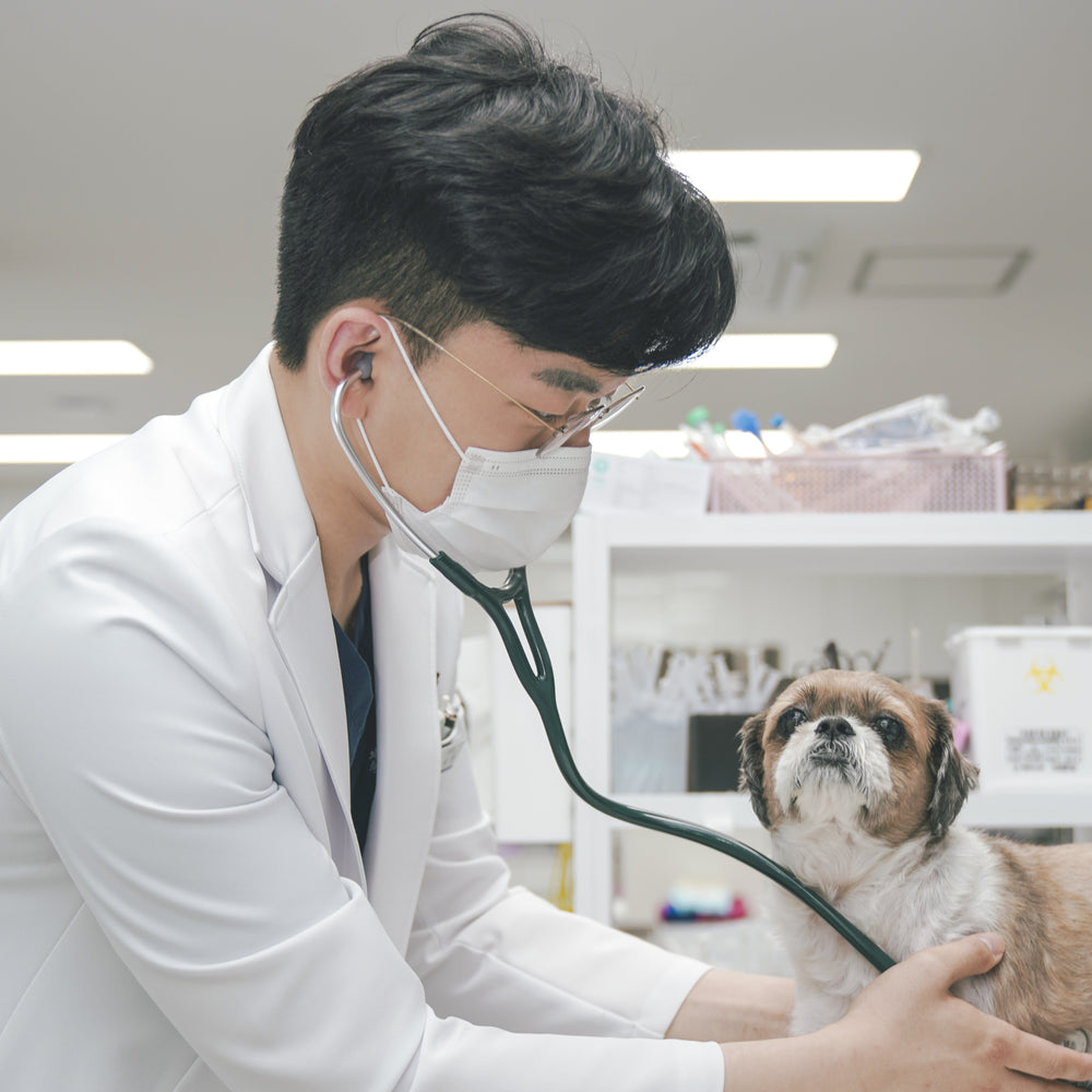 "もう一つの家族、大切なペットたちに集中するためには、 まず私自身が快適である必要があります。"