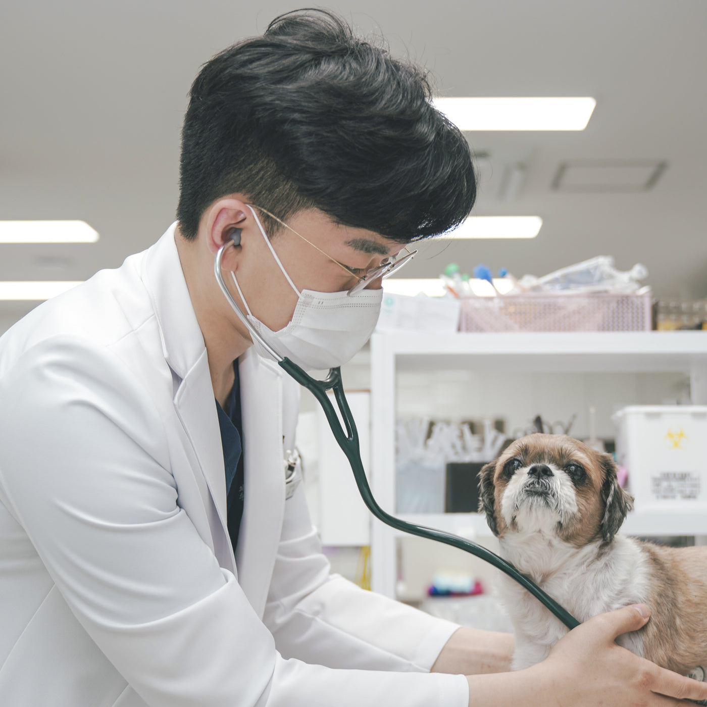 "もう一つの家族、大切なペットたちに集中するためには、 まず私自身が快適である必要があります。"